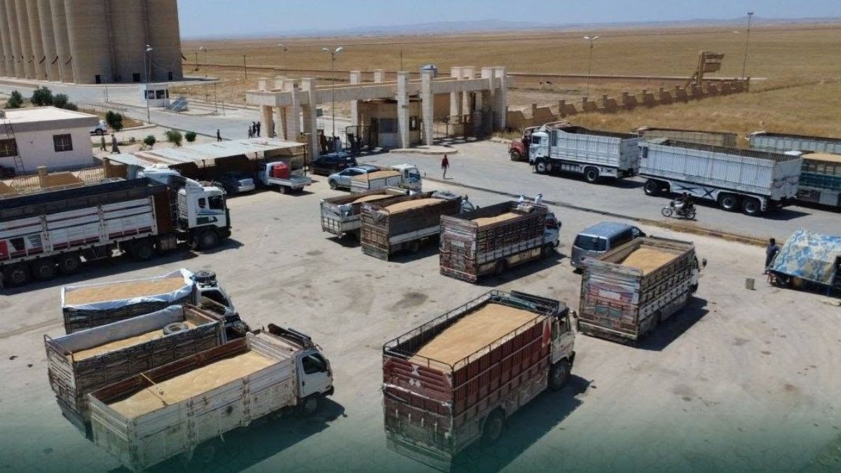 الحسكة تسوّق 62 ألف طن من القمح بسعر 5.5 مليون ليرة للطن