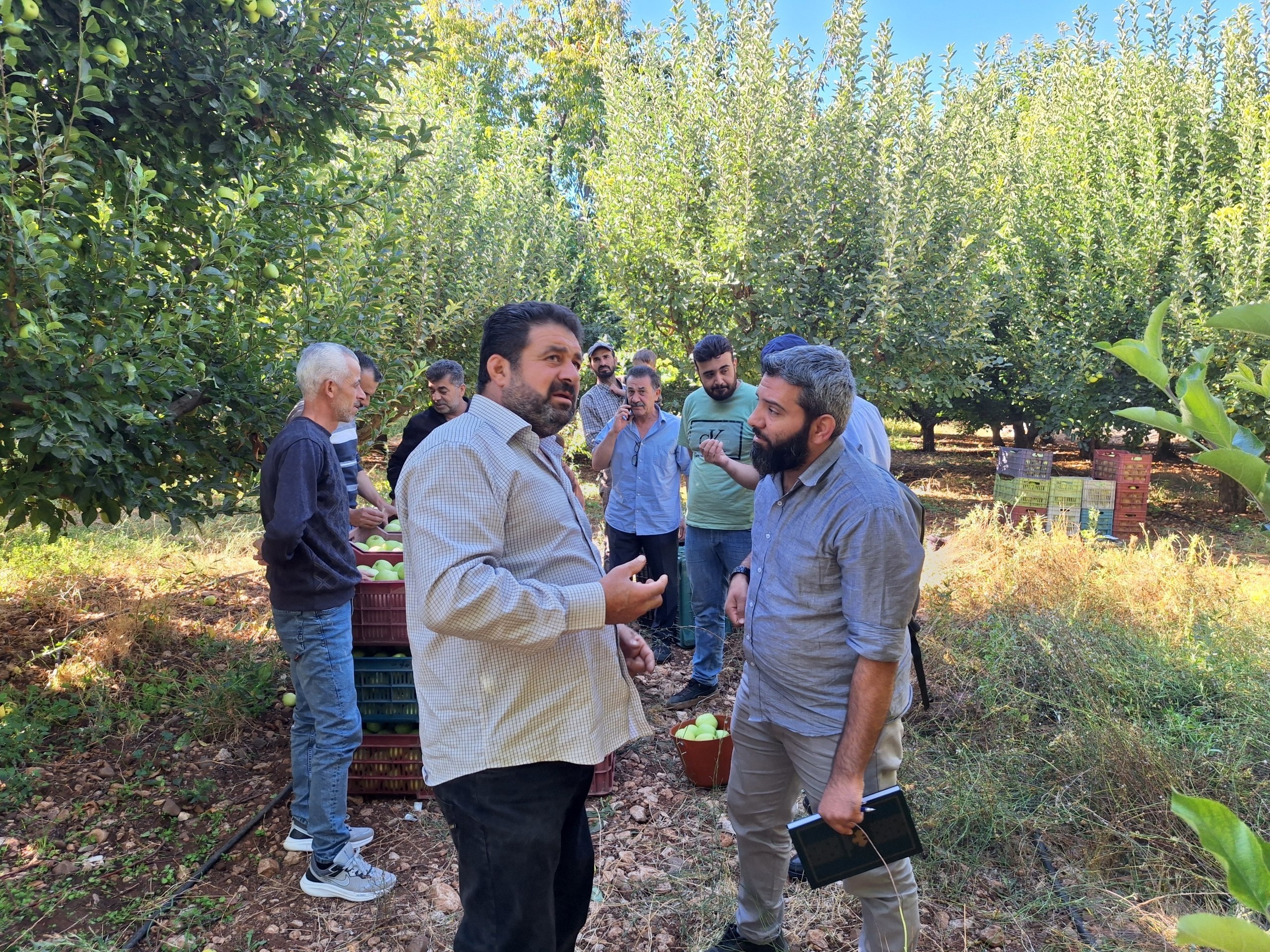 سوريا تمدد حظر استيراد التفاح وتمنع استيراد الليمون من تشرين الأول